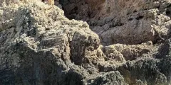 Guest photo from review